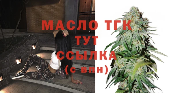 молекула духа Лабытнанги