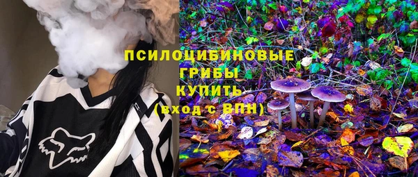 молекула духа Лабытнанги