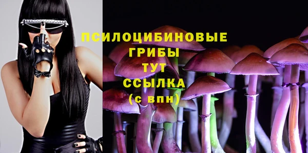 молекула духа Лабытнанги