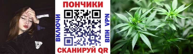 Конопля ГИДРОПОН  что такое наркотик  Новотитаровская 